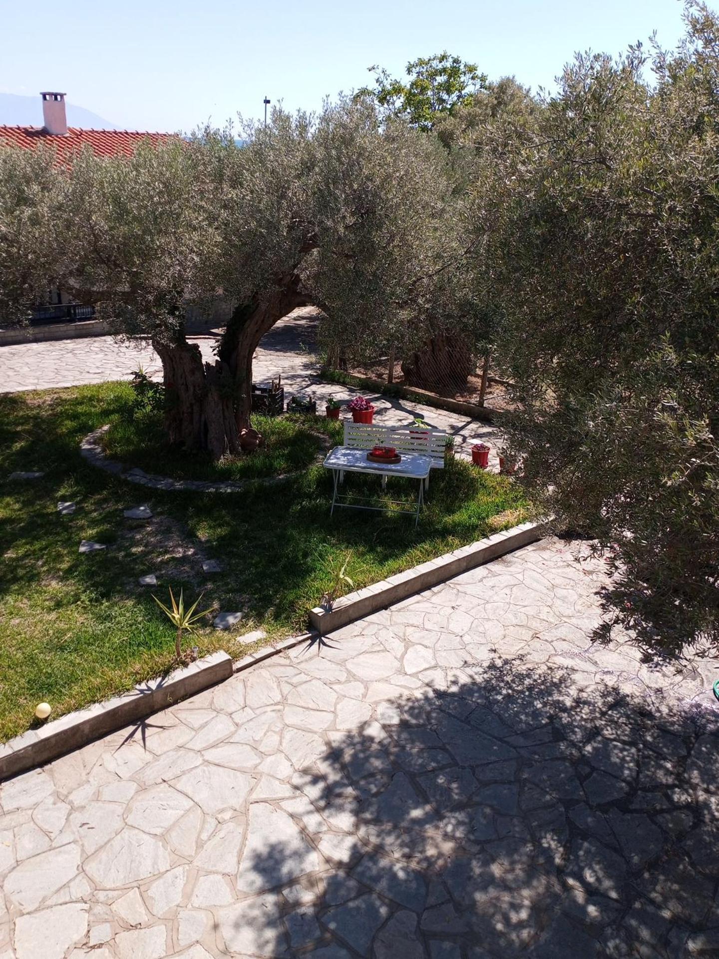 Villa Asimidou Agia Paraskevi  Exterior foto